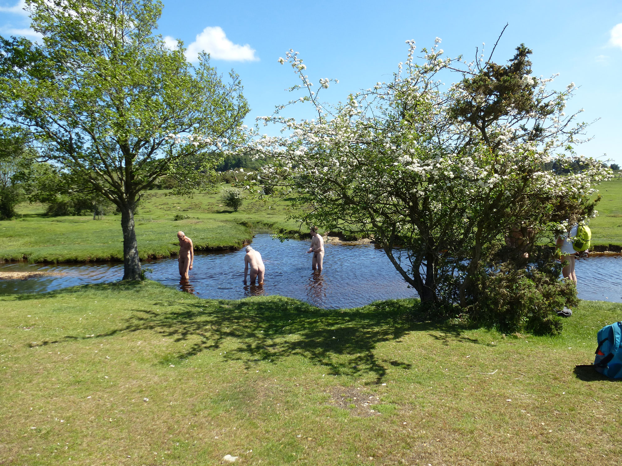Swim Stop