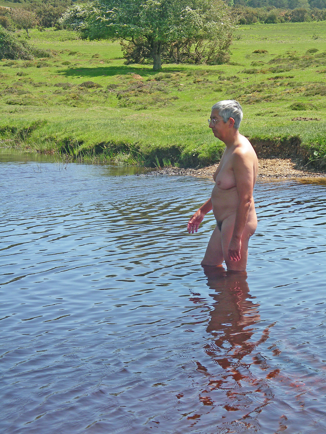 Swim Stop